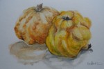 5279 - Otoño Frutas. Calabazas